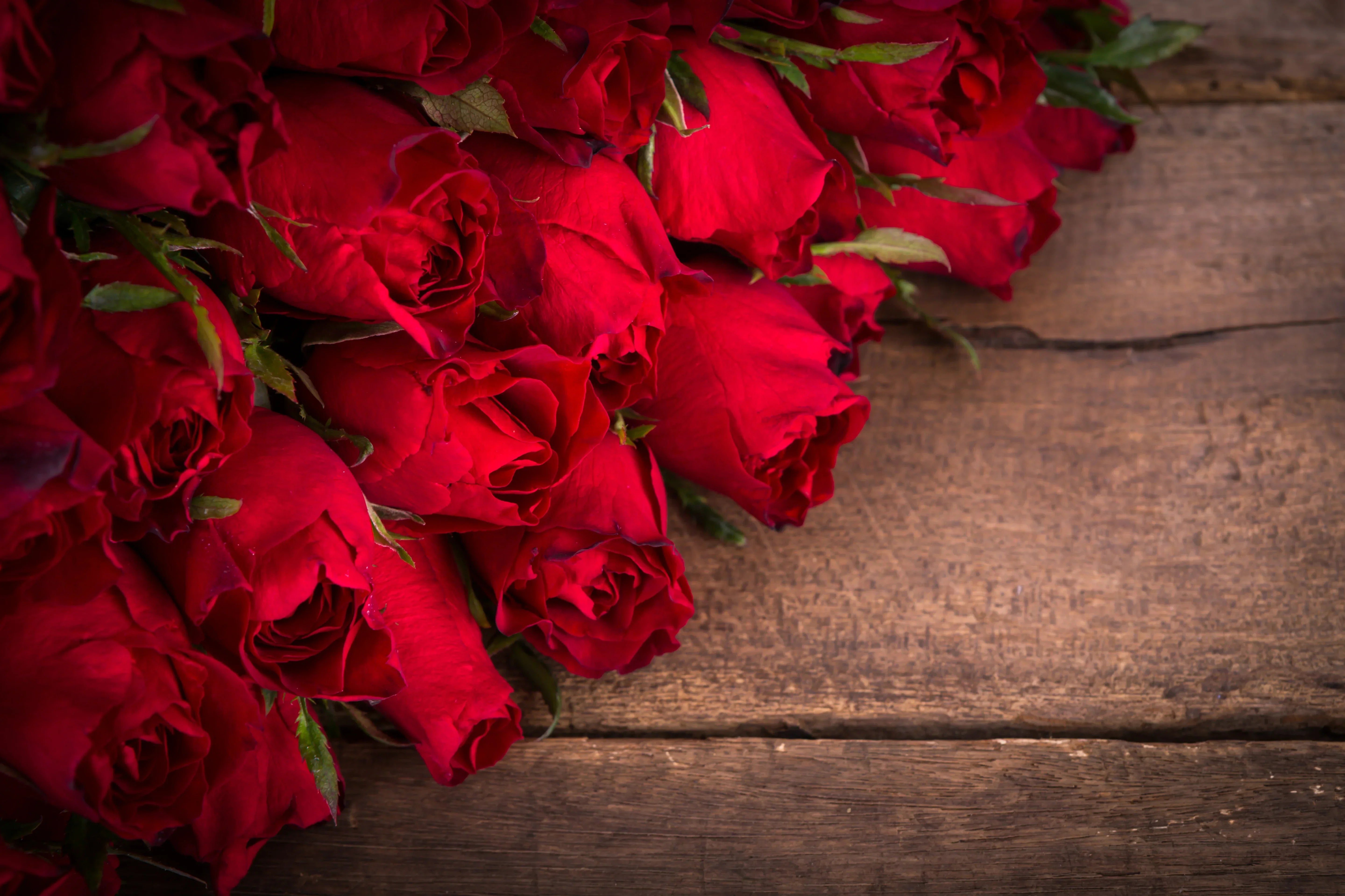 The Symbolism of Red Roses and Other Color Meanings