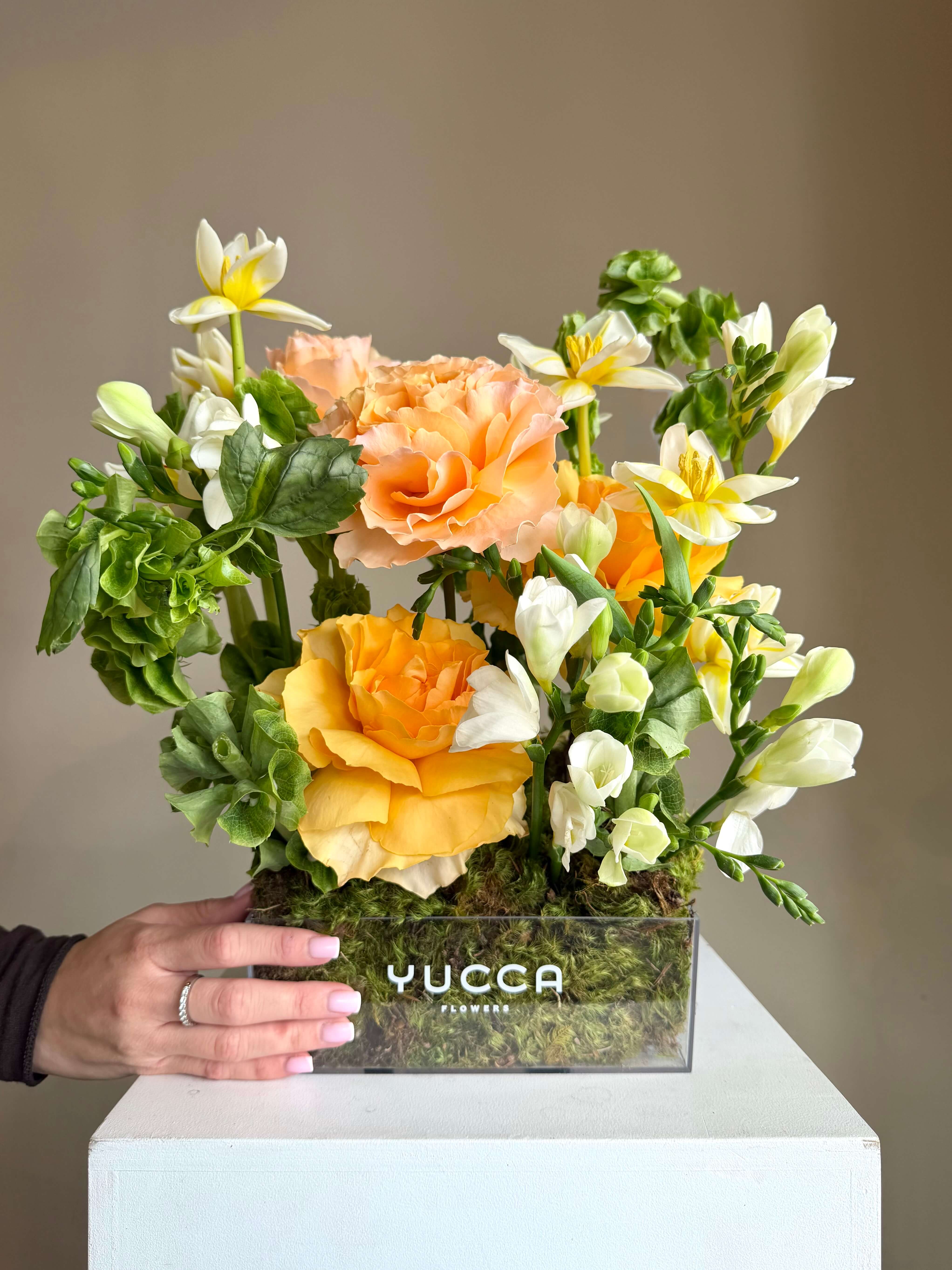 Forever Summertime. Limited Edition