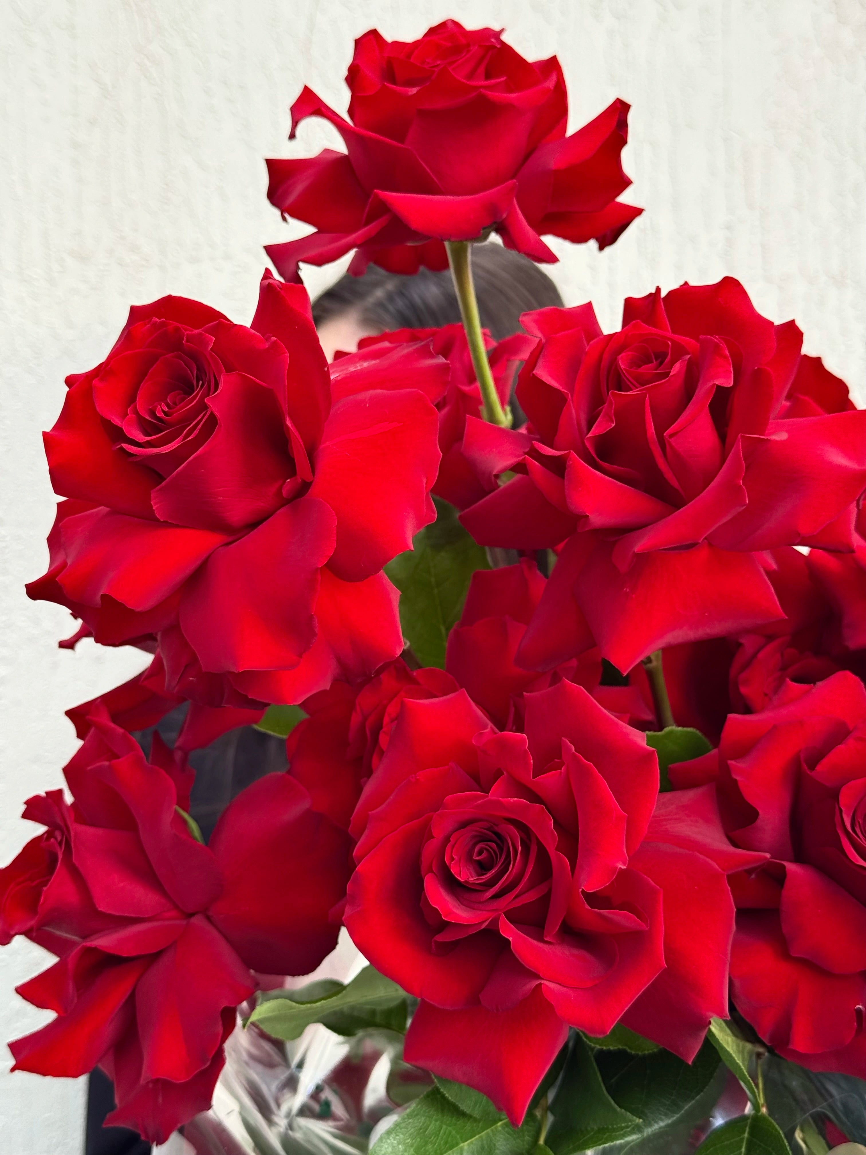 Red Carpet - 25 Premium French Red Roses