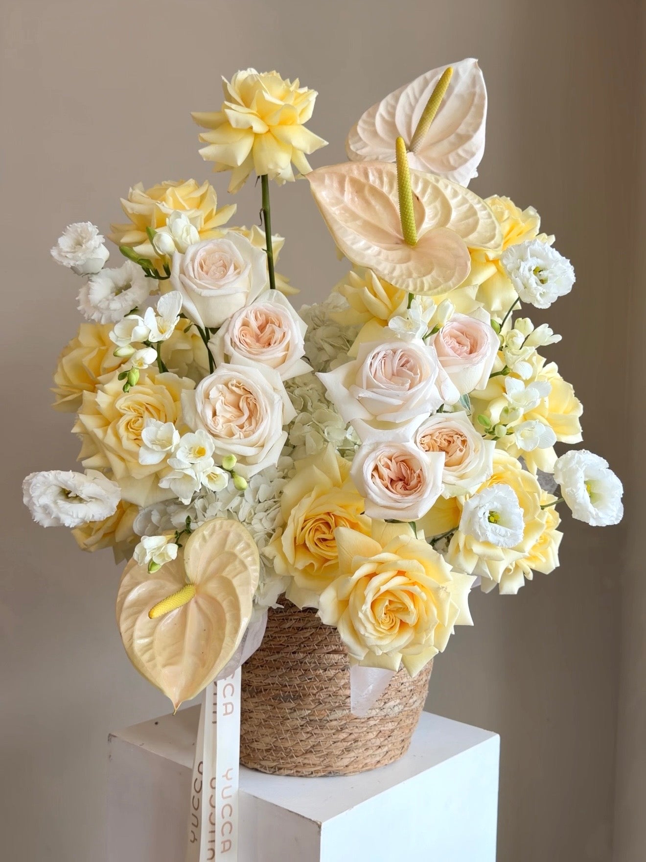 Crème de Lumiere - Anthuriums, O’Hara Roses, Premium French Roses
