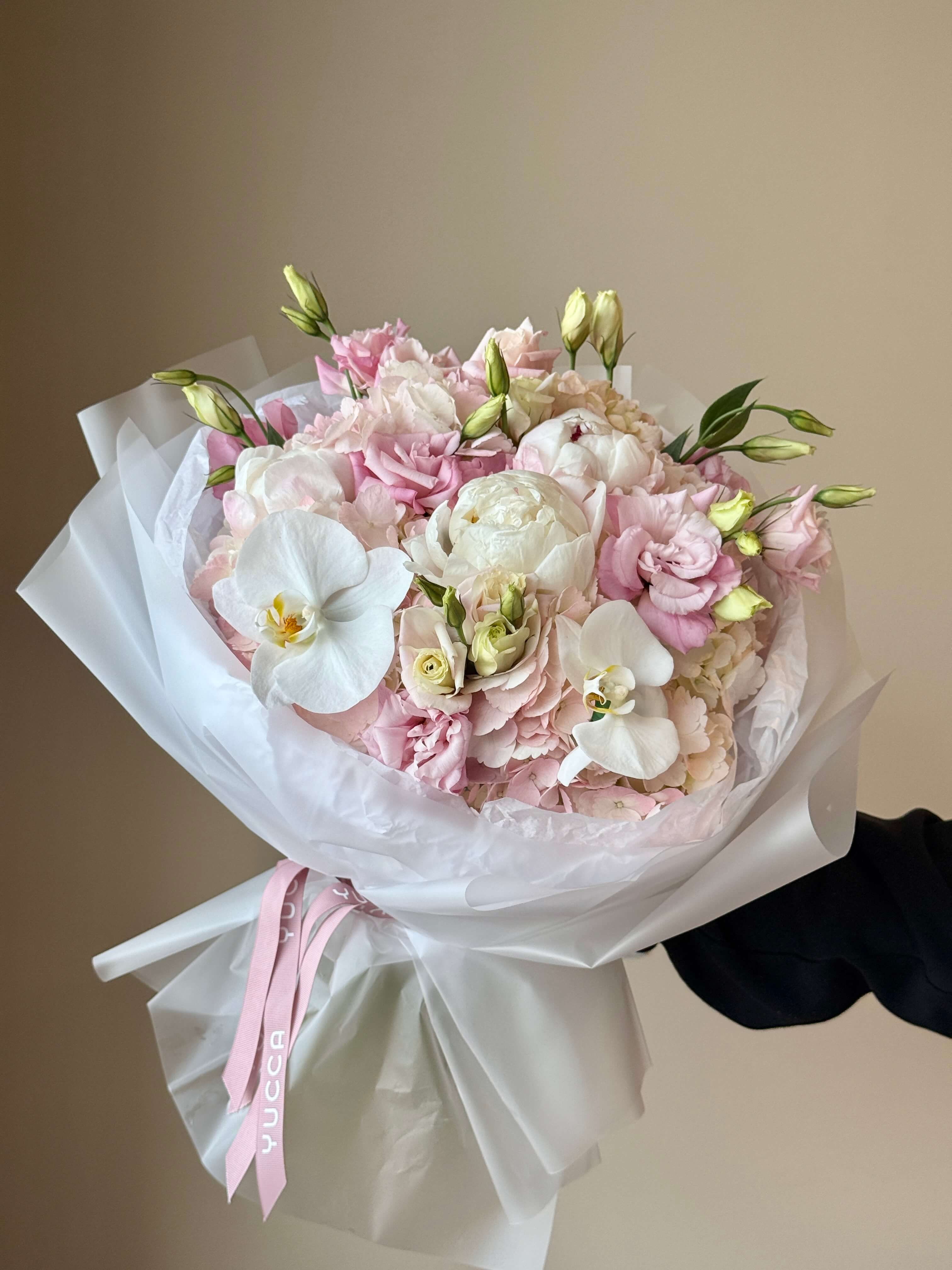 Peony Blush Sorbet