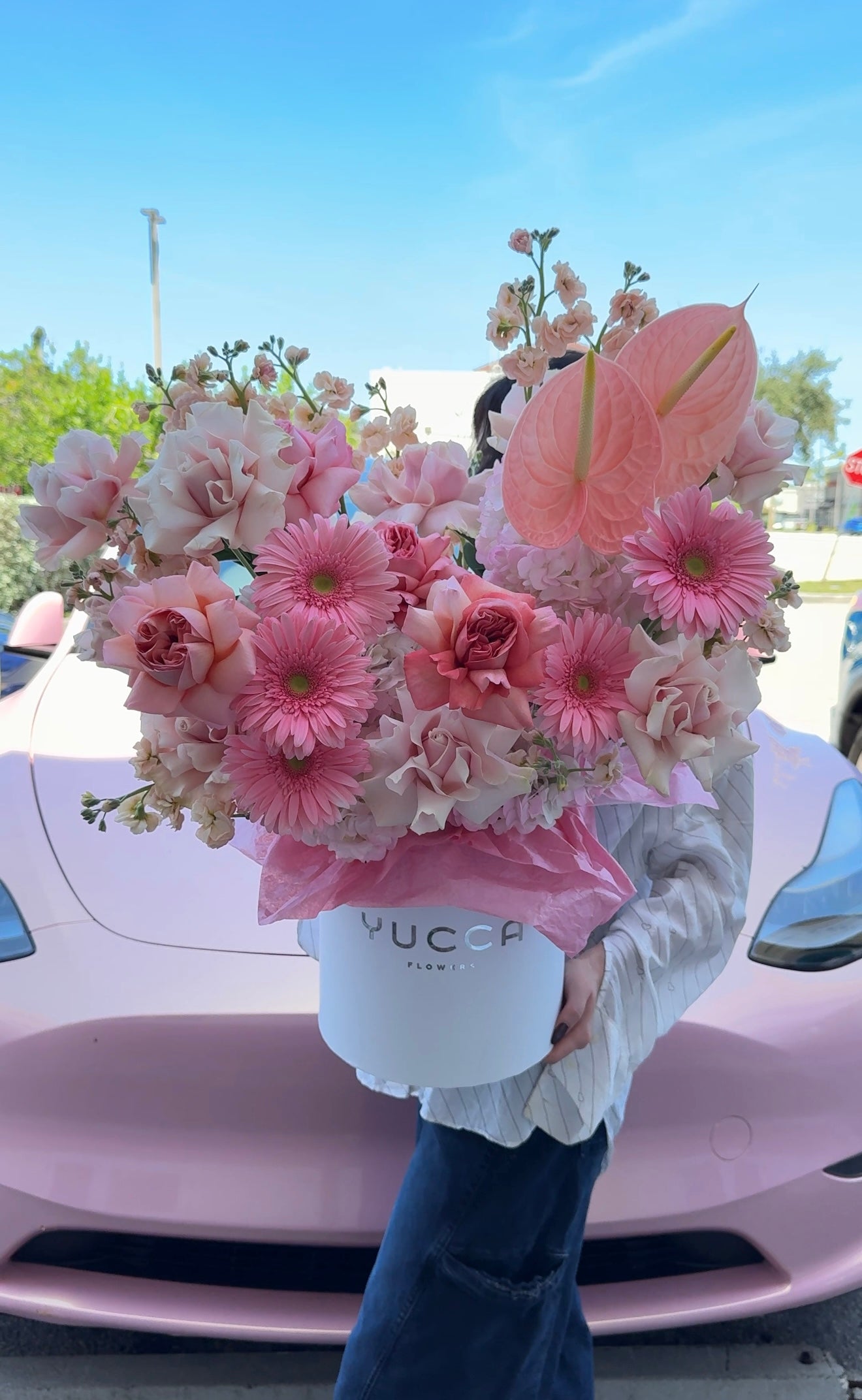 Candy Pink Expression