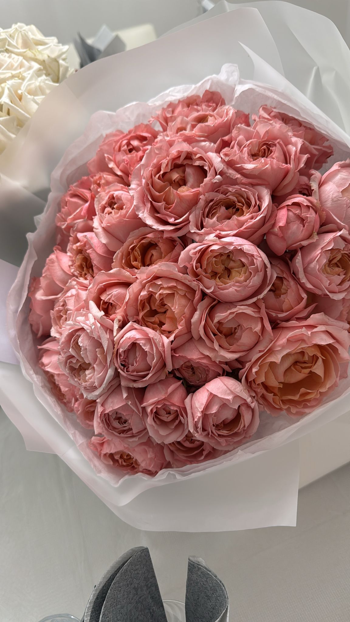 Premium Juliette Spray Roses