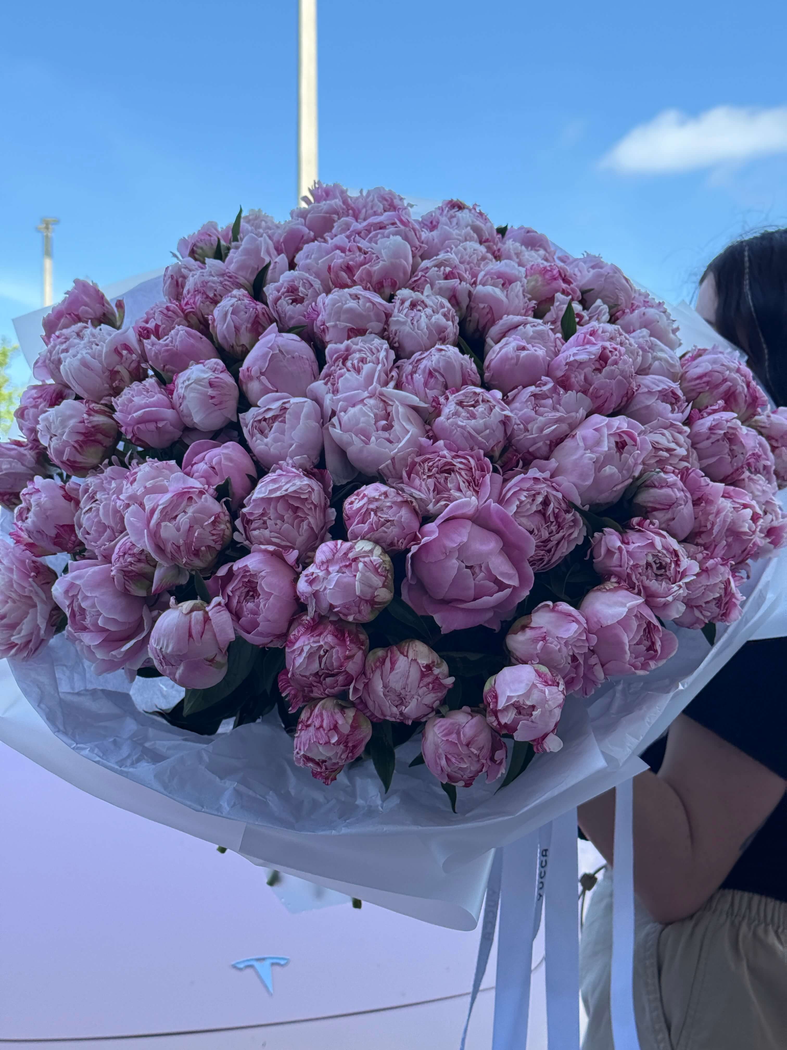 Blush Pink Peonies Bouquet