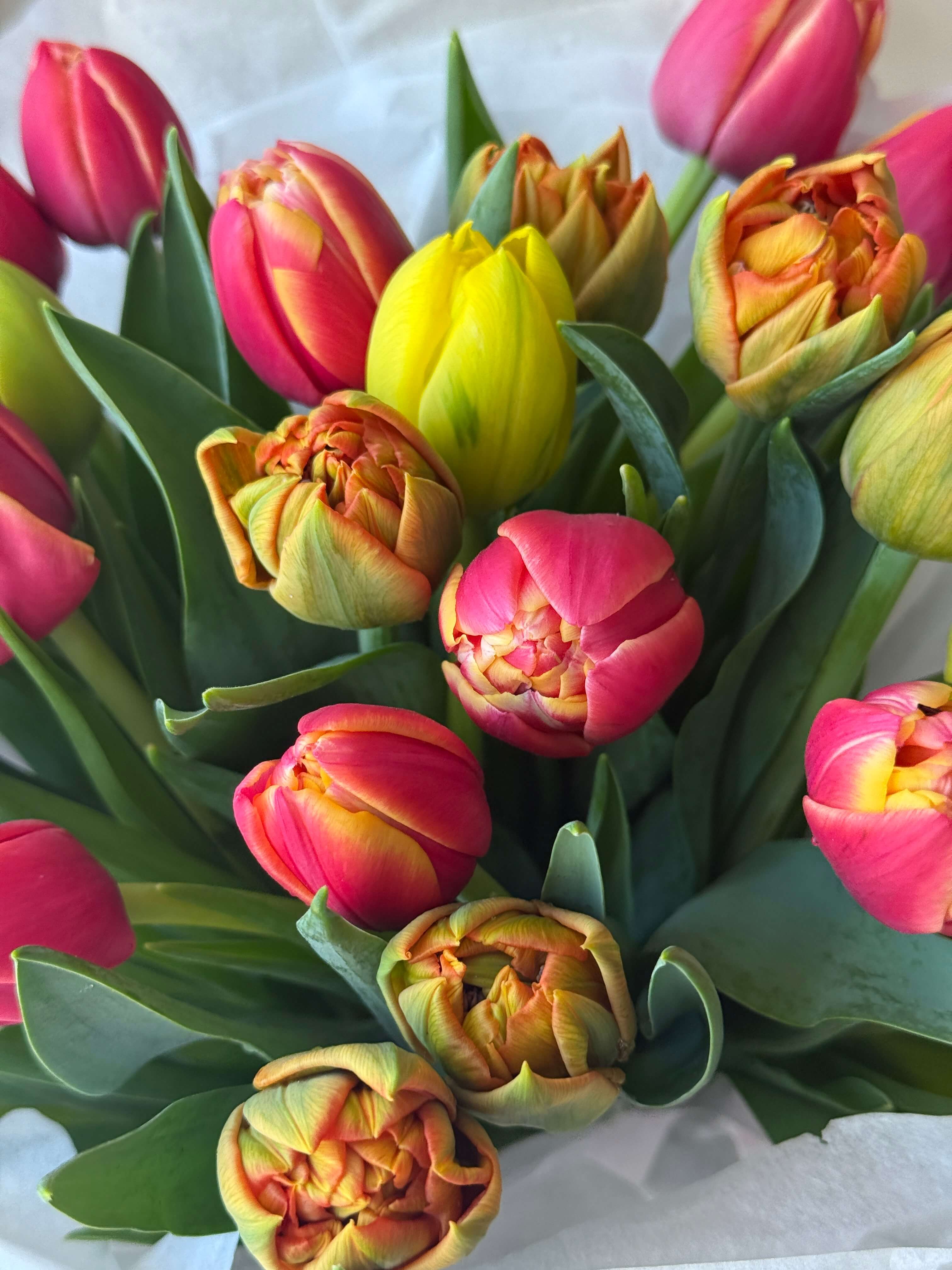 Peony Tulips Bouquet
