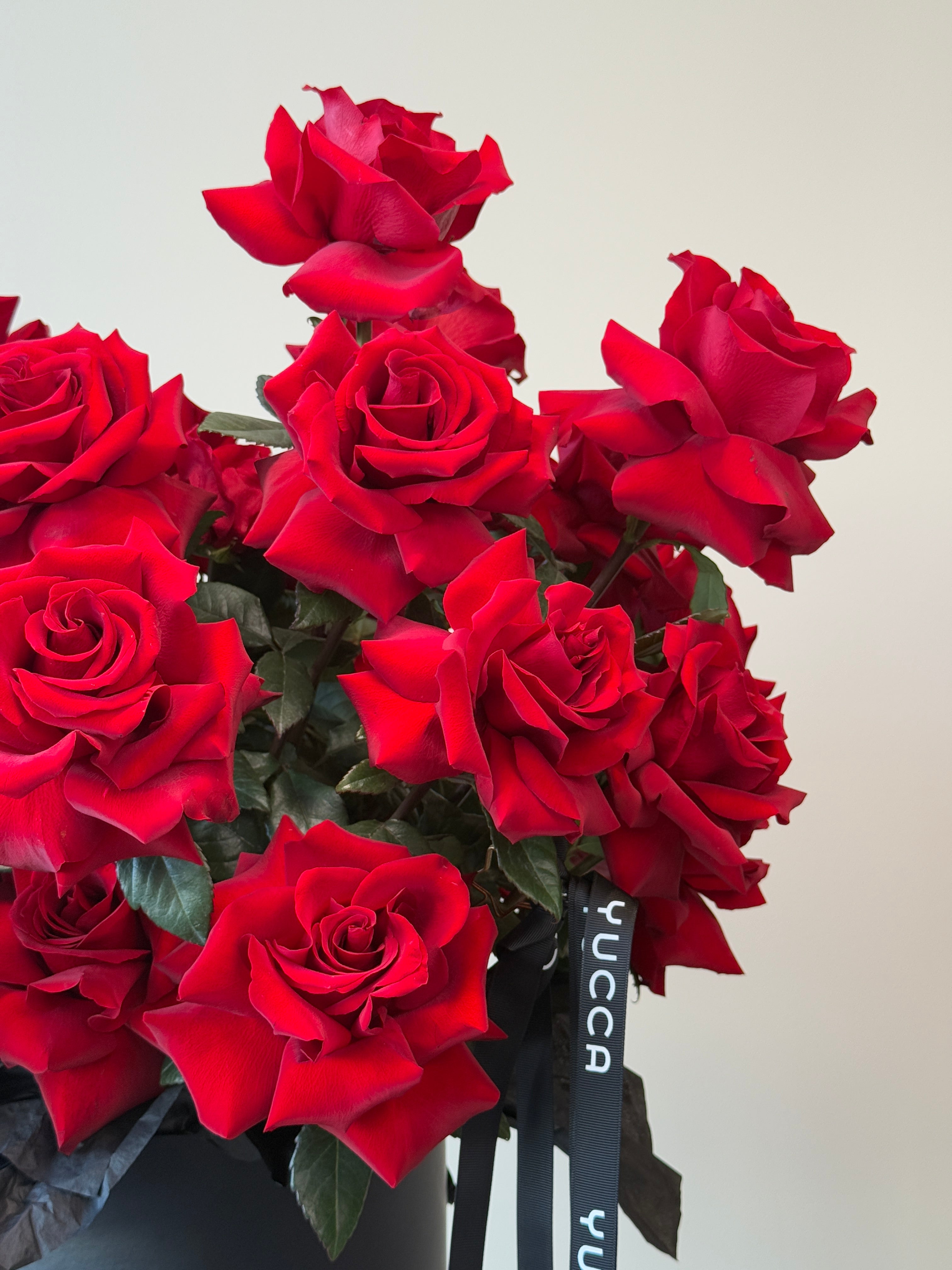 Red Passion - 33 Premium French Red Roses