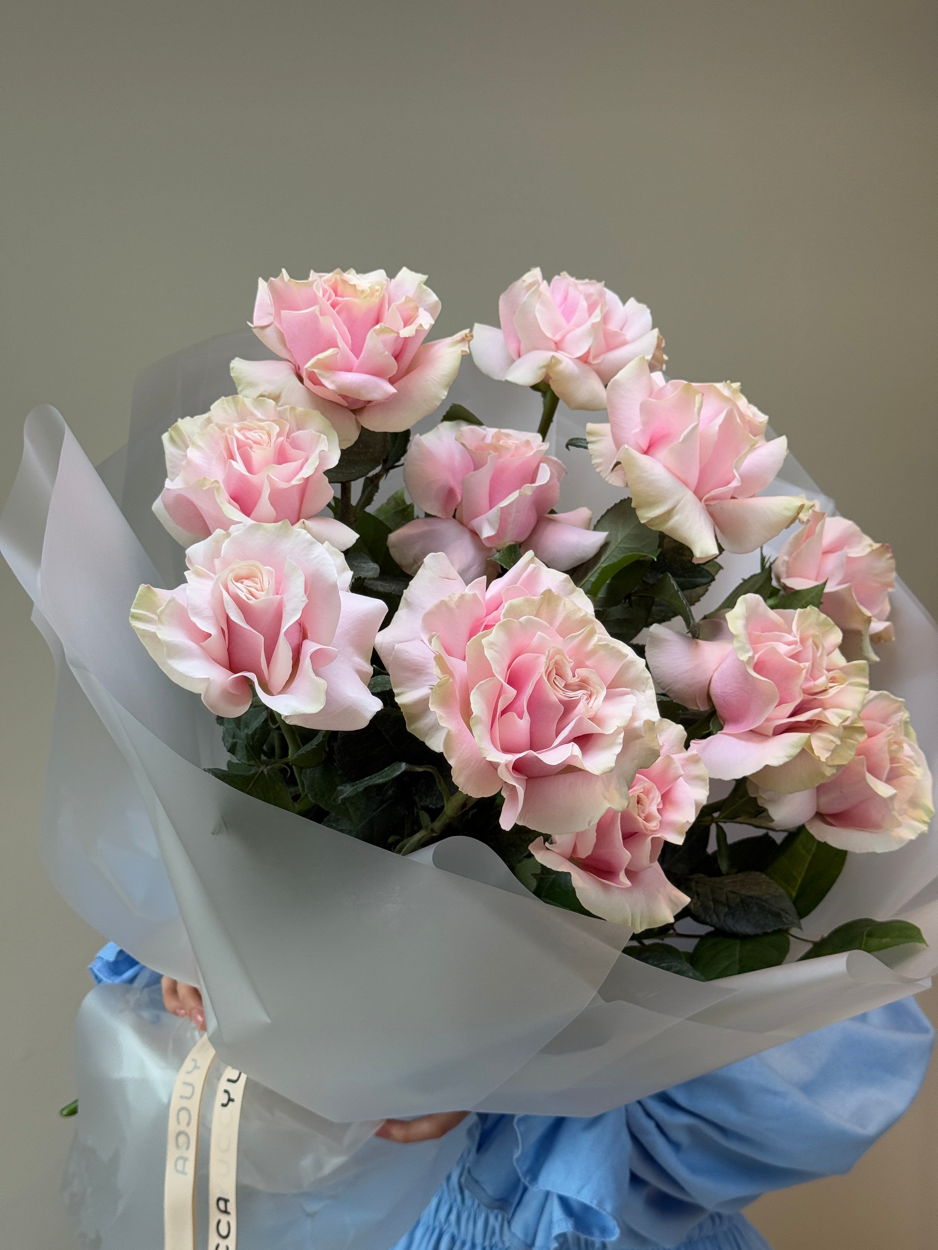 Premium French Pink Roses