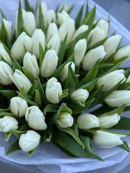 Premium Tulips bouquet