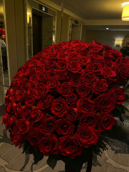 Premium Red Roses