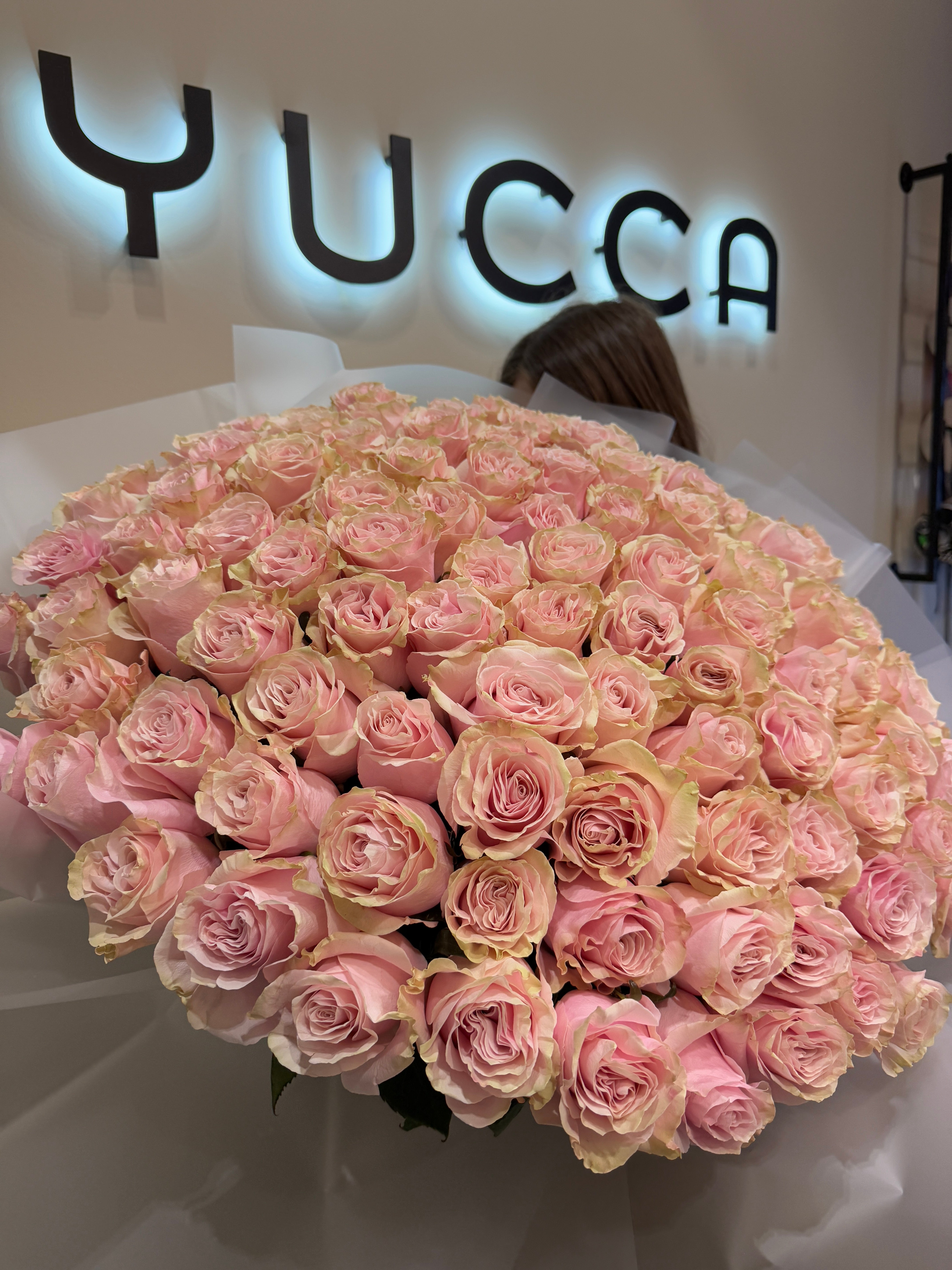 100 Premium Pink Roses