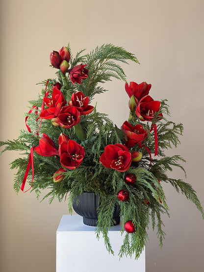 Christmas Wonderland