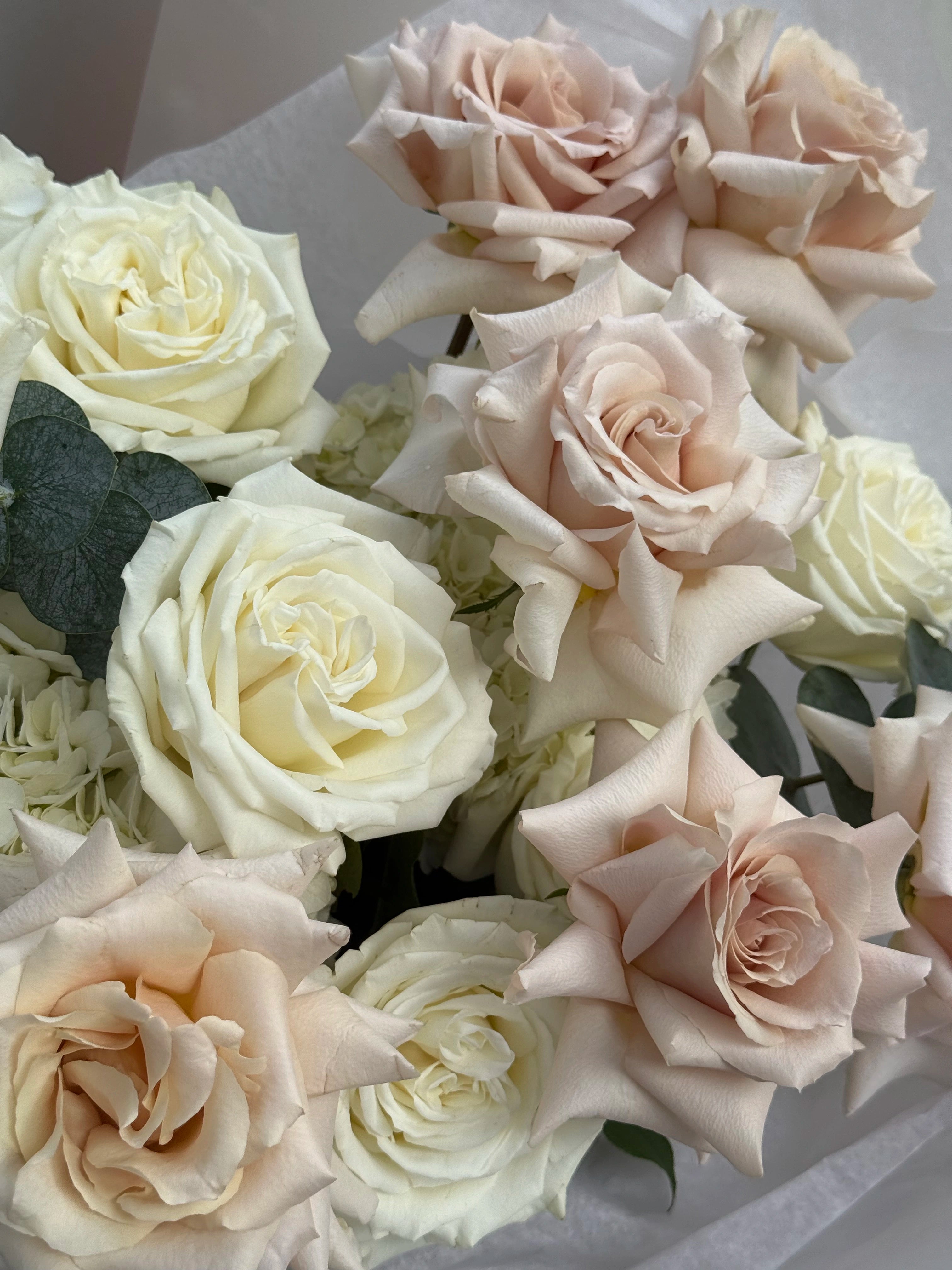 White Classy - Premium White and Beige Roses, Hydrangeas.