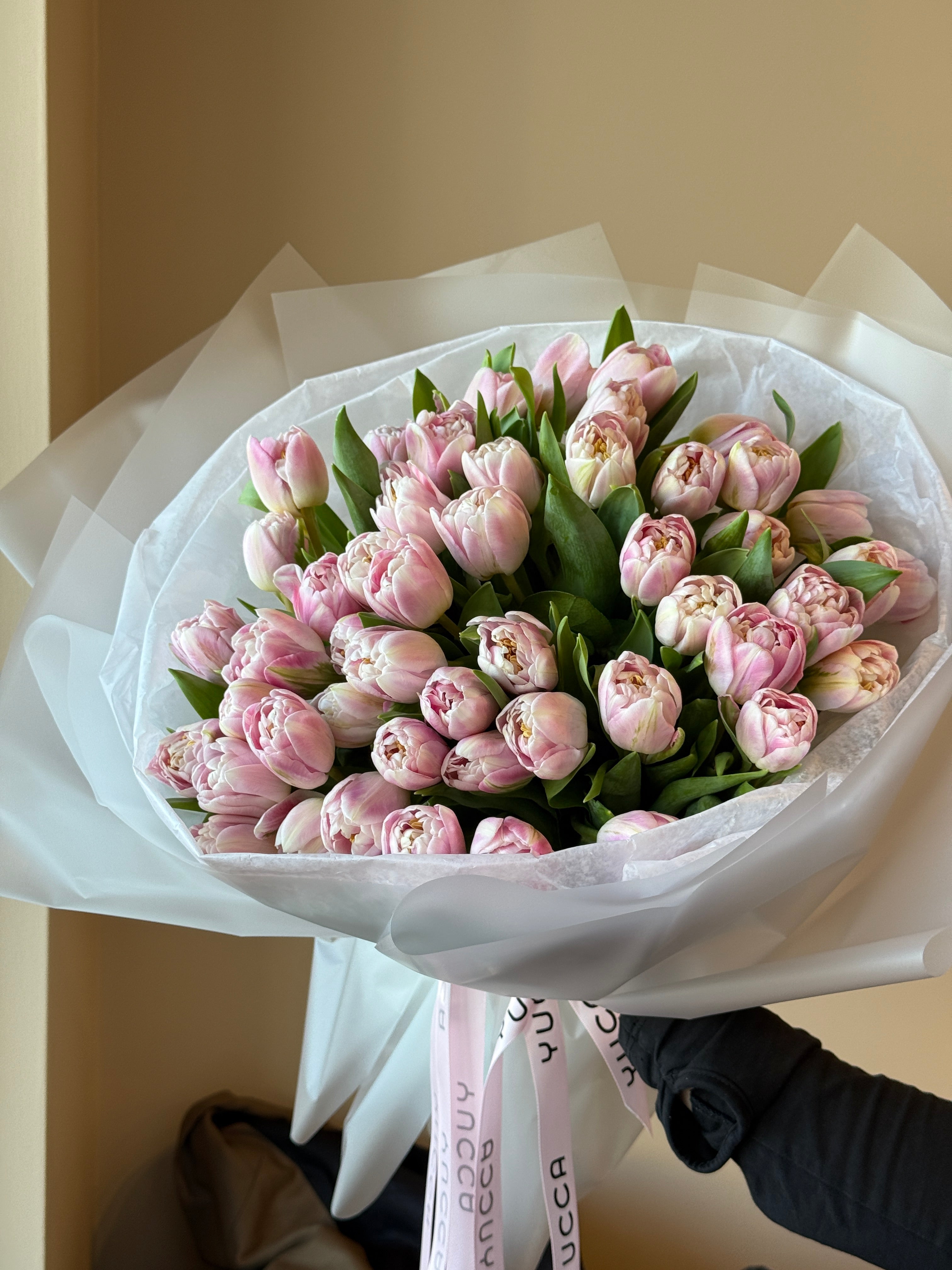 Pink Peony Premium Tulips