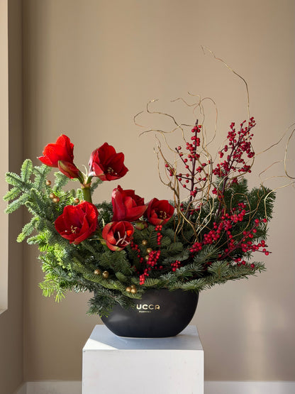 Christmas Velvet Bloom