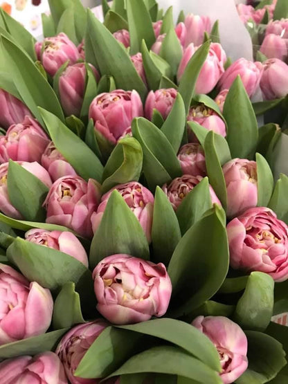 Premium Tulips bouquet