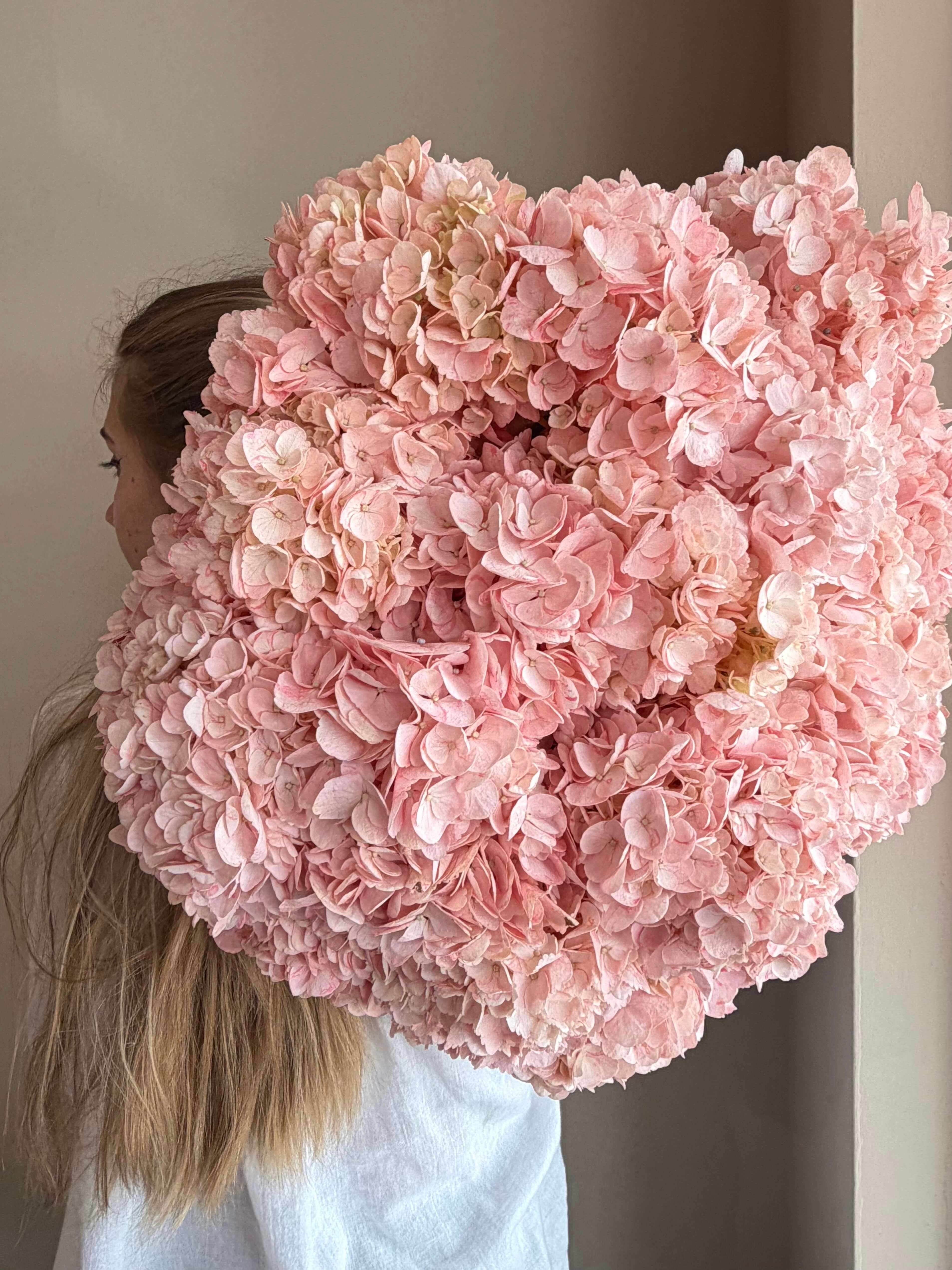 Pink Heaven Clouds - 24 Hydrangeas