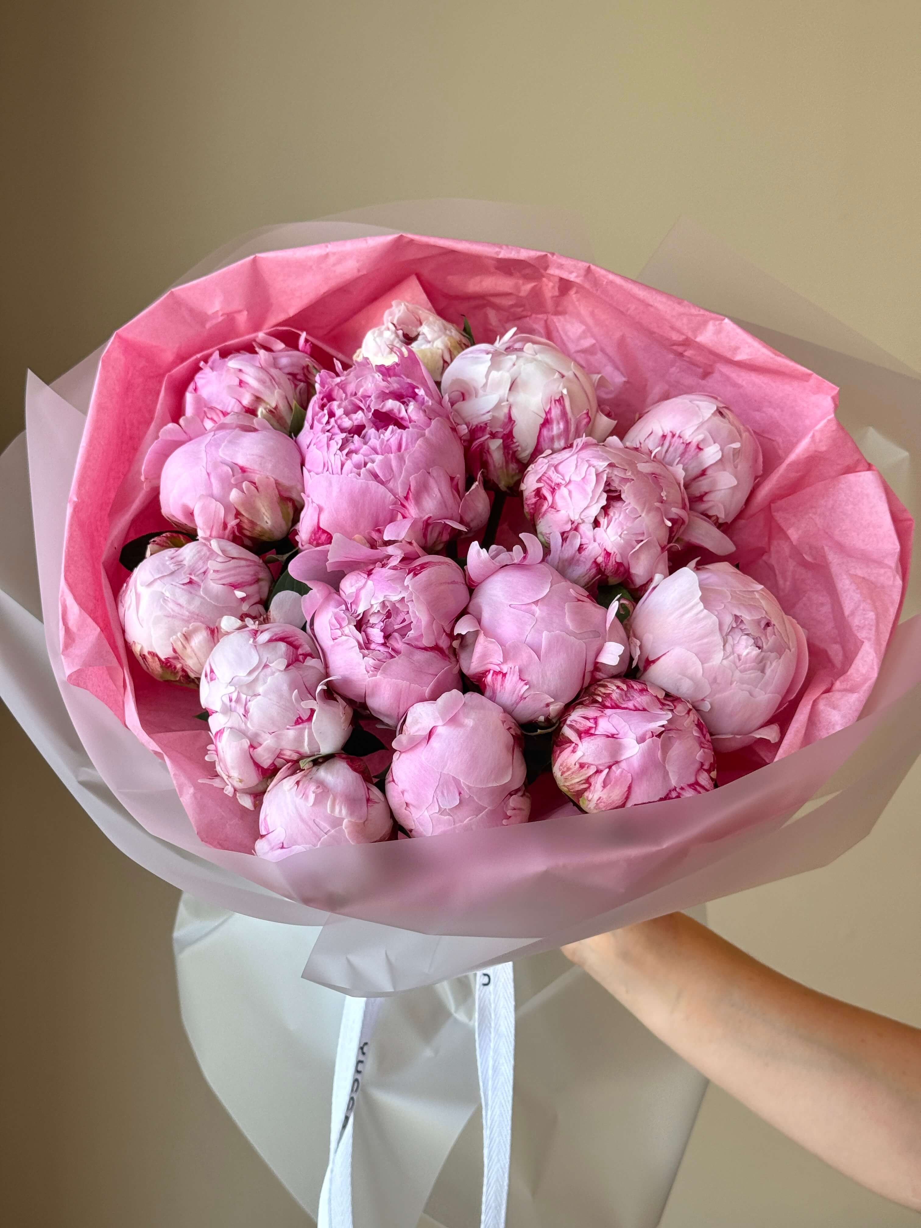 Dutch Peonies Sarah Bernhardt