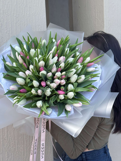 White & Pink Tulips Bouquet