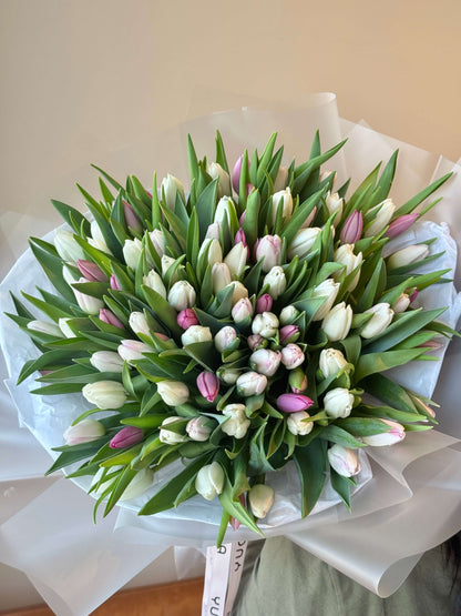 White & Pink Tulips Bouquet