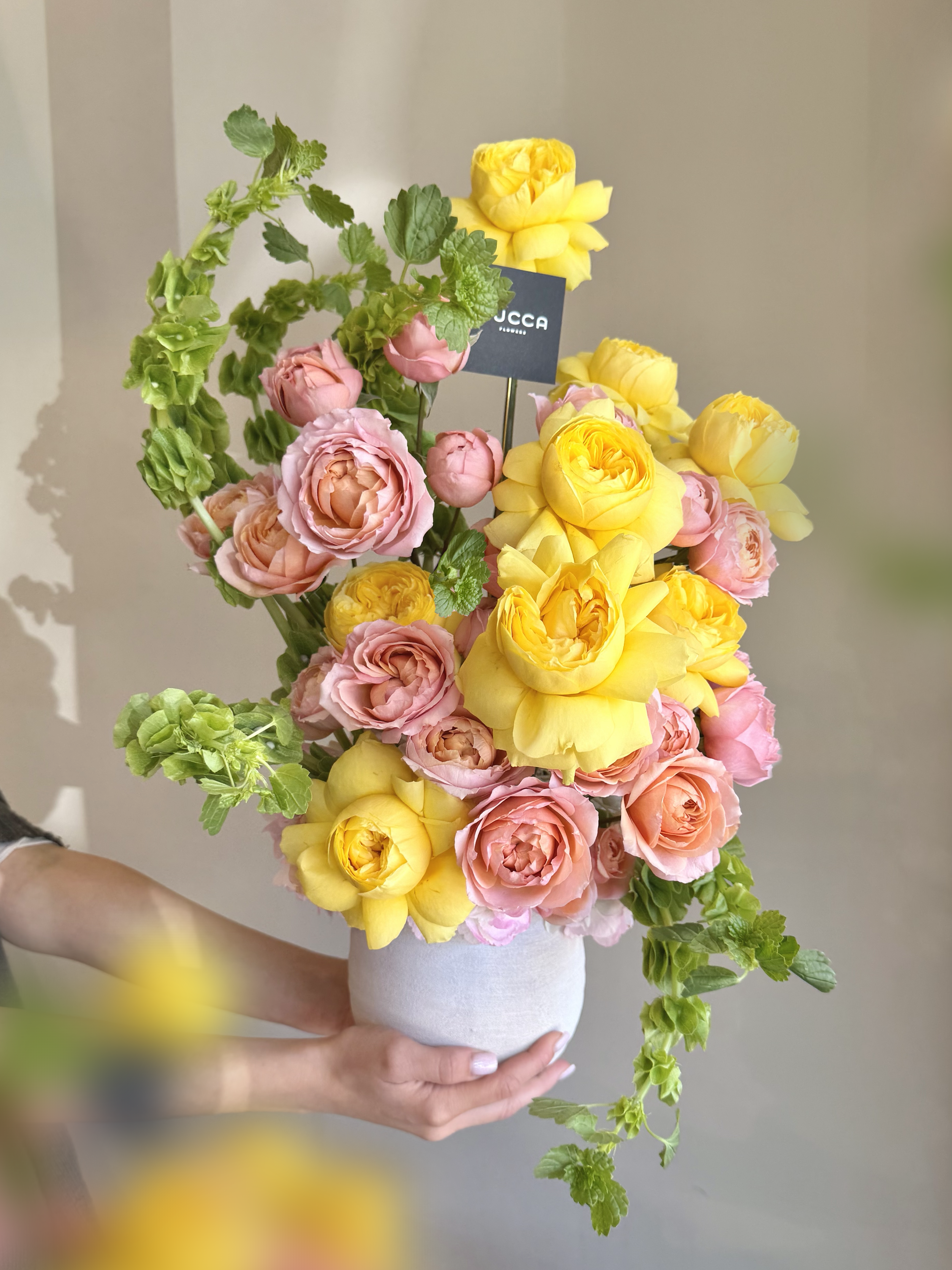 Beauty in Paradise - Premium Garden Roses