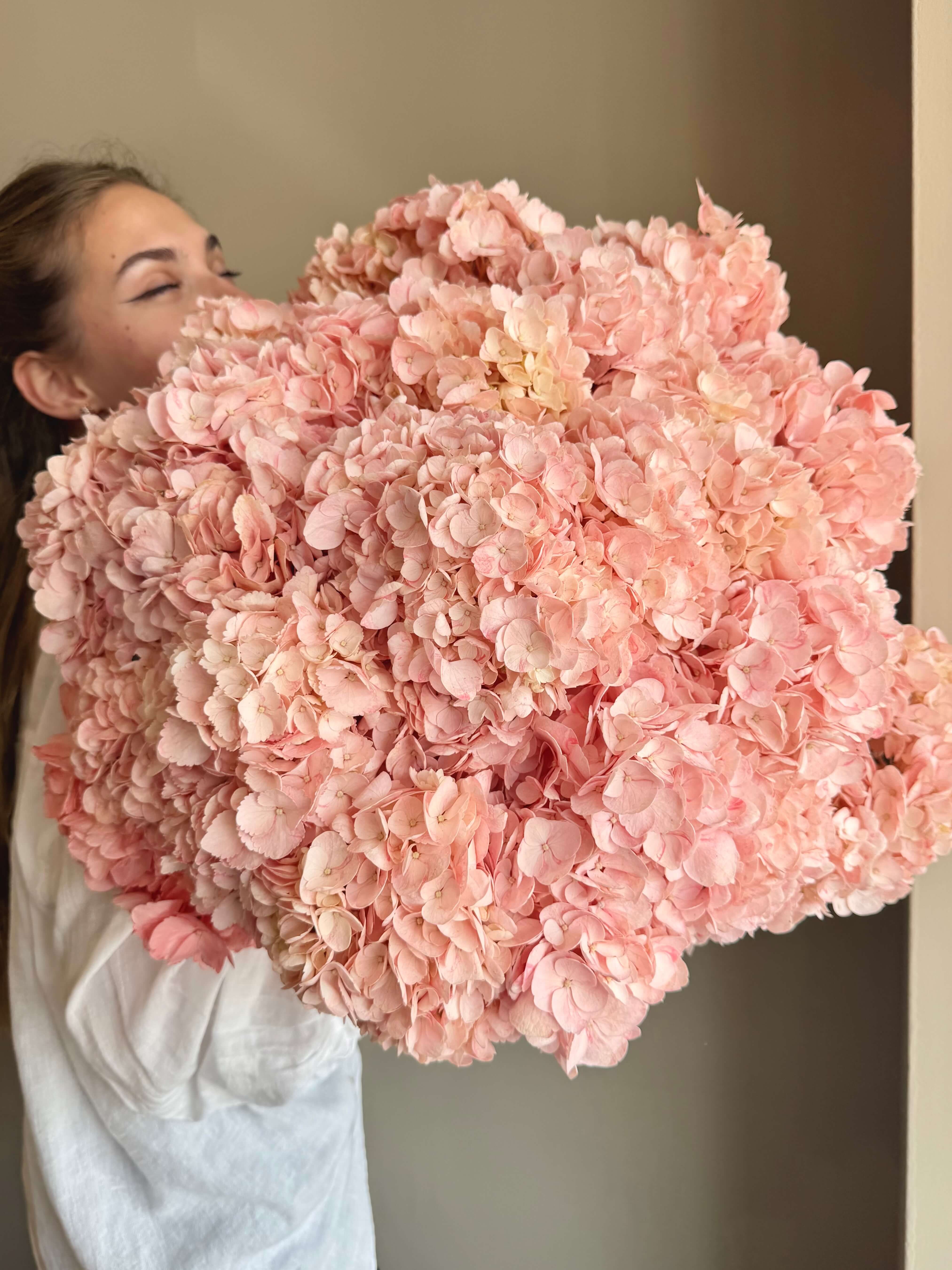Pink Heaven Clouds - 24 Hydrangeas