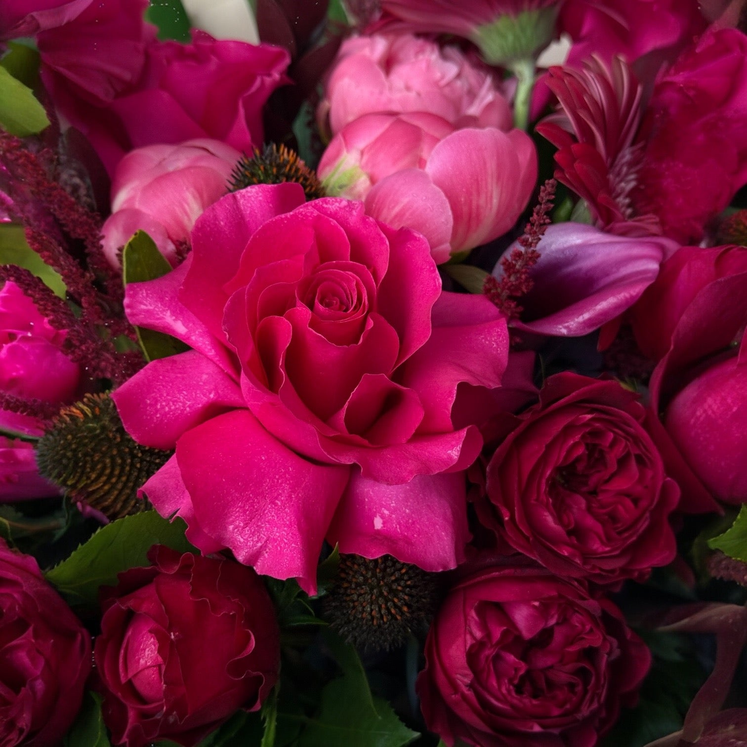 Fuchsia Flame - David Austin Roses, Peonies, Calla, Astilba, Protea